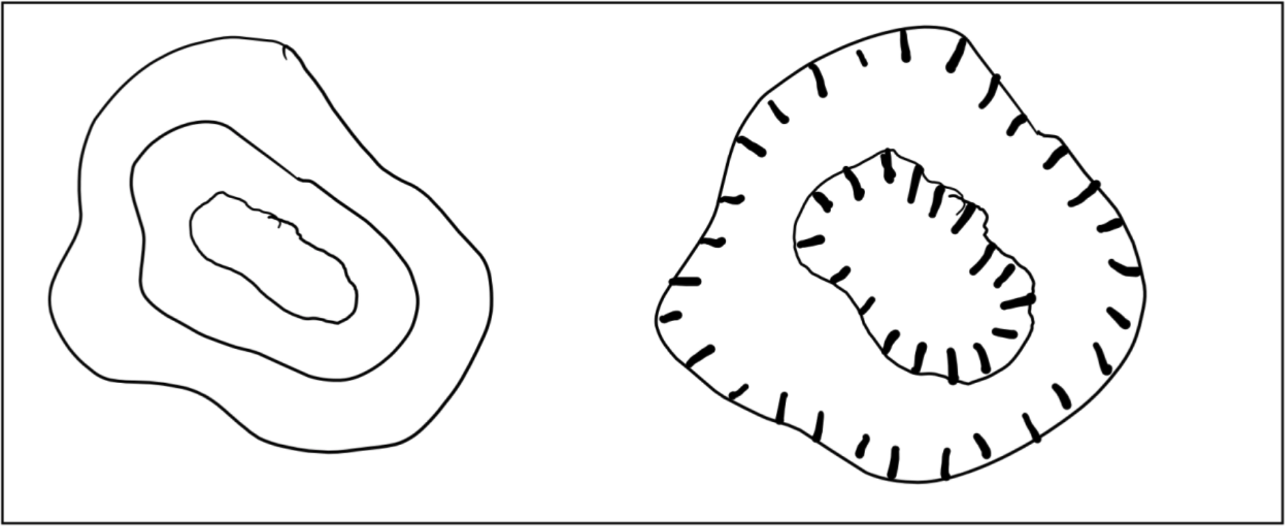 Figure 2.18, rules of contour maps: concentric closed circles representing high or low points.