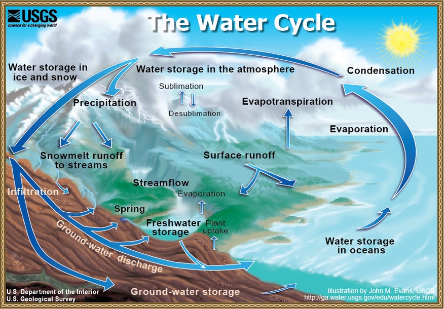 info graphic of the water cycle. See link in caption for text description