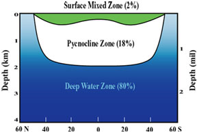 general structure of water masses as a function of depth in the ocean: Deep Water Zone (80%), Pycnocline Zone (18%), Surface Mixed Zone (2%)