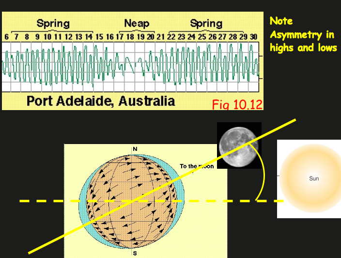 Gráfico de datos de mareas en Port Adelaide que muestra la naturaleza elíptica de las mareas
