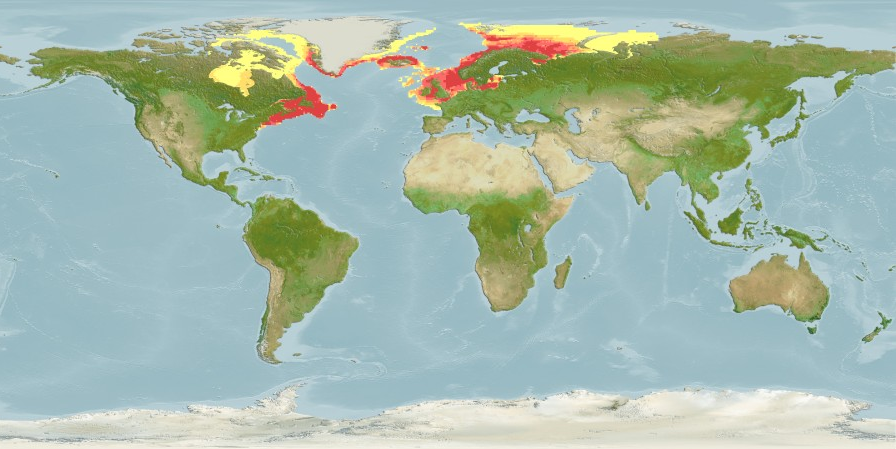 Map showing native range for Gadus Morhua (Atlantic Cod). See caption