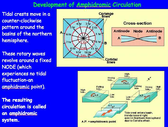 Development of Amphidromic Circulation. See link in caption for text description