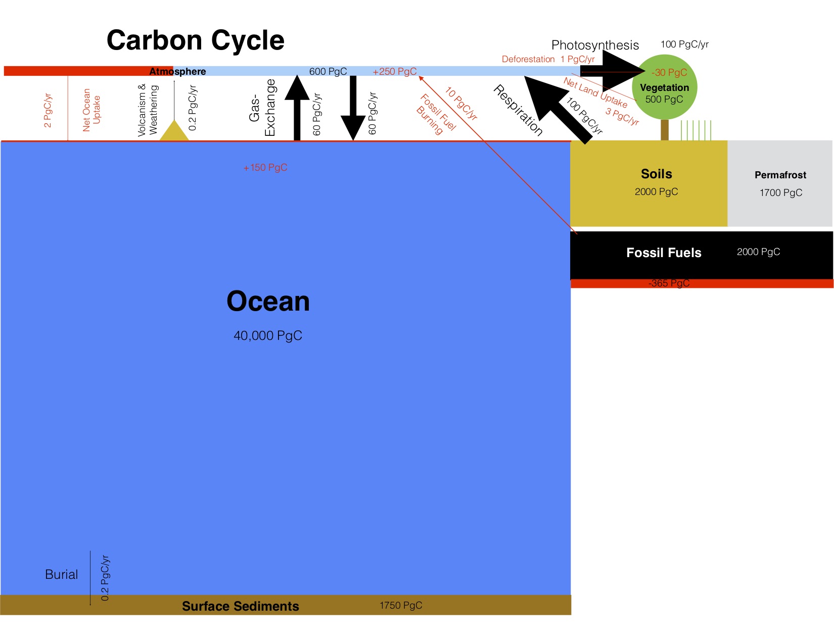 carbon_cycle2.jpg