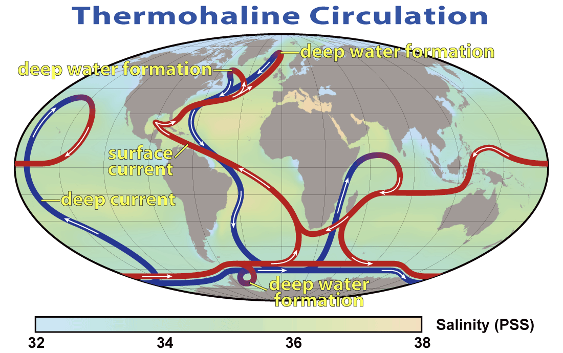 f16_Thermohaline_Circulation_2.png