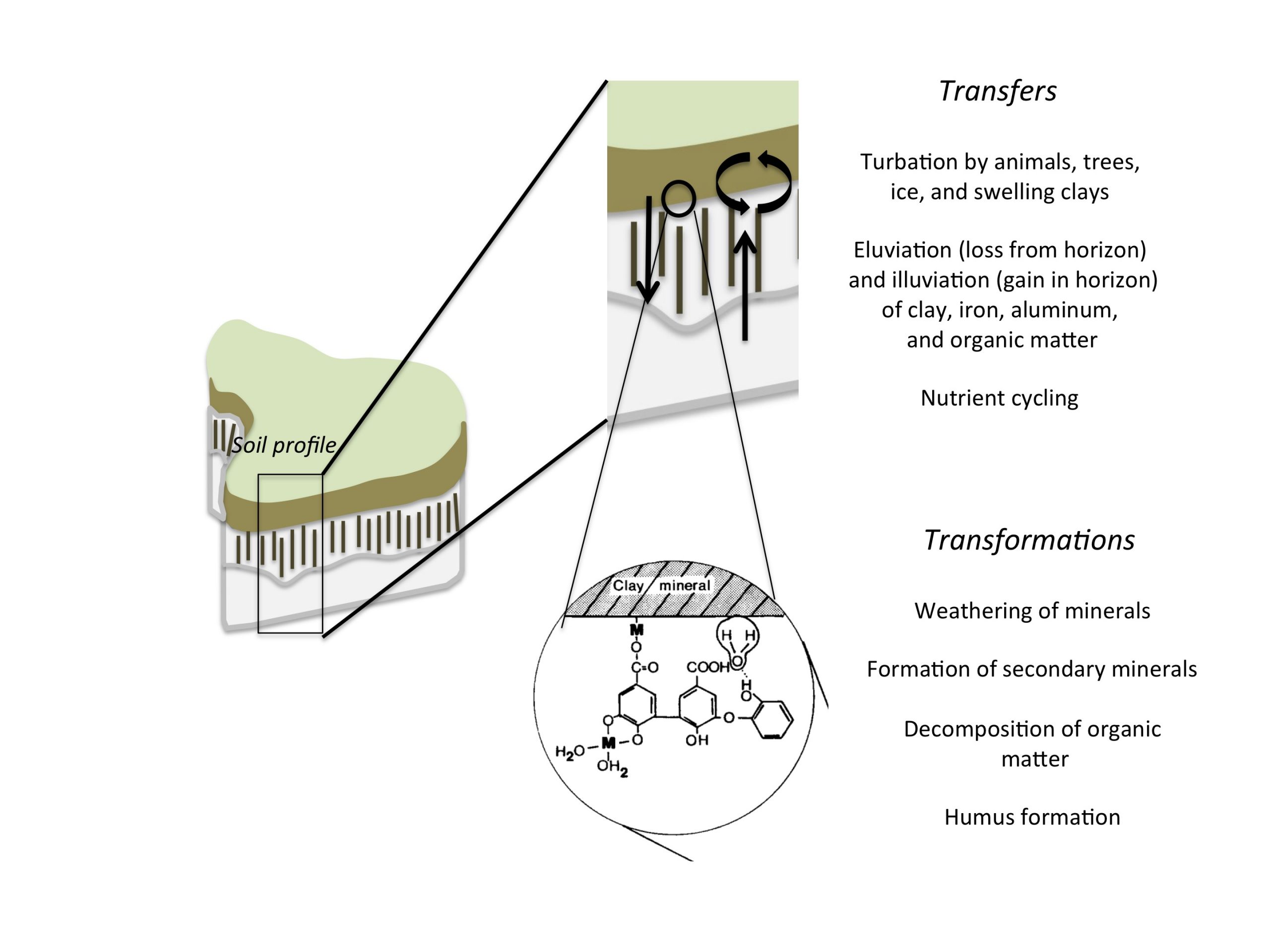 Figure-2.9-Transfers-and-Transformations-scaled.jpg