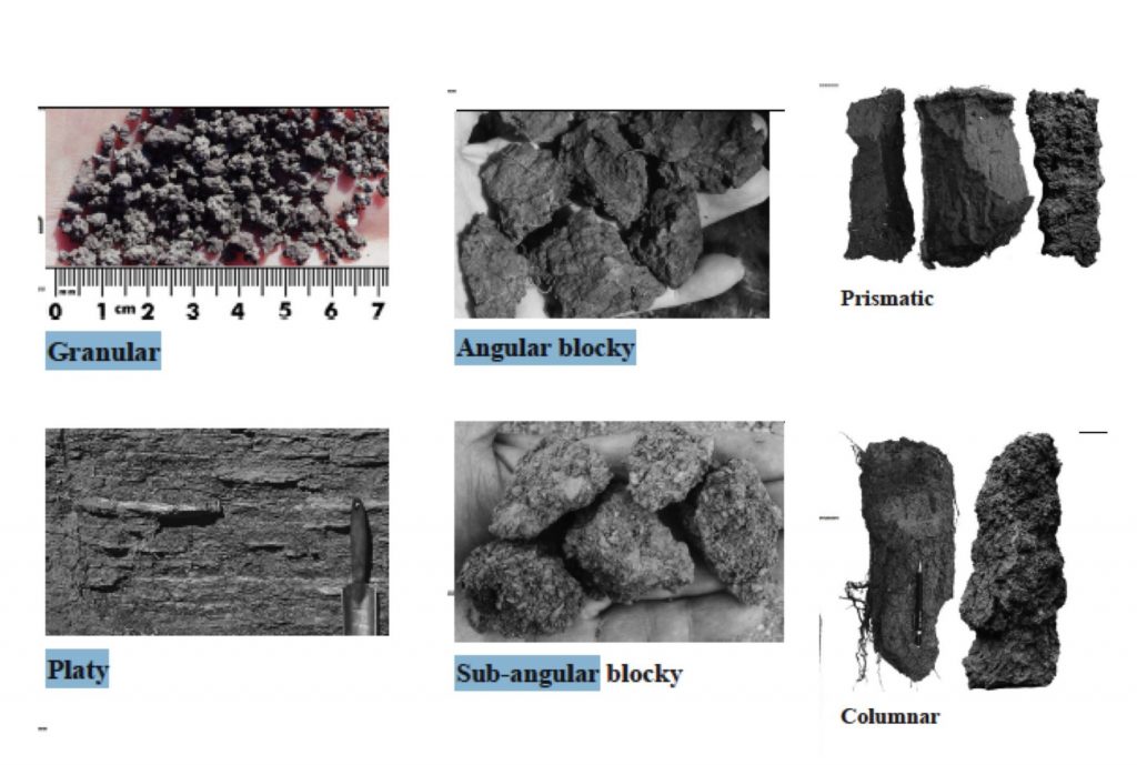 Figure-2.26-Soil-structural-types-scaled-e1619448211463-1024x689.jpg