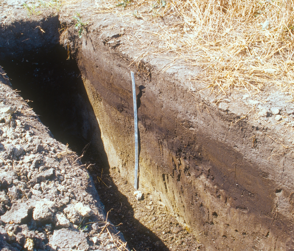 Figure-2.28-Cumulic-soil.jpg