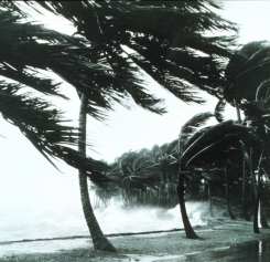 Hurricane waves break on sea wall