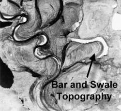 bar and swale topography