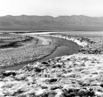 arroyo_Amargosa_river_Death Valley_NPDDS21_hcb00951_sm.jpg