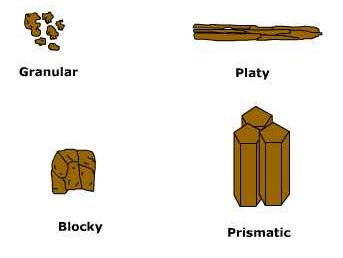 soil_structure.jpg (7674 bytes)