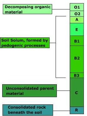 soil_profile.jpg (25241 bytes)