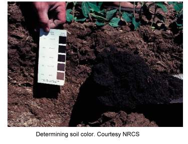 soil_color_NRCS_IA99350.jpg