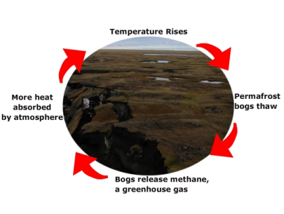 Permafrost - climate change feedback