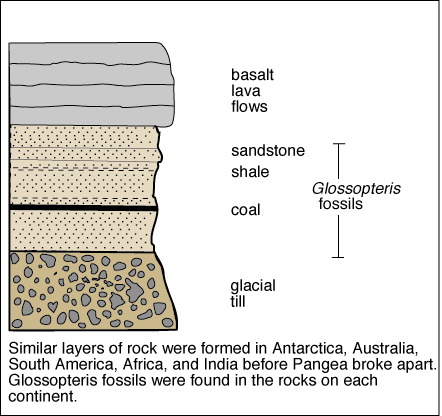 Perfil estratigráfico