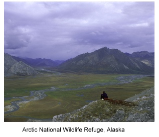 Arctic Wildlife Refuge