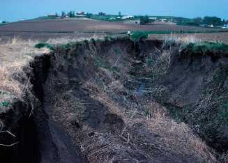 severe_gulley_erosion_Iowa_NRCS_p0000003244_small.jpg