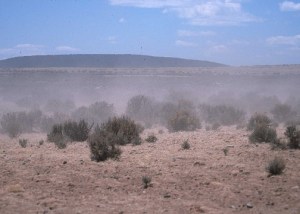 Erosión eólica en pastizales en Nuevo México