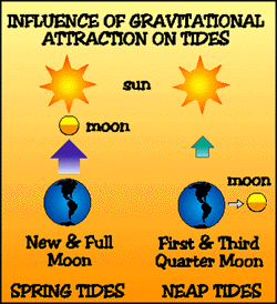 Image of the influence of gravitational attraction on tides.
