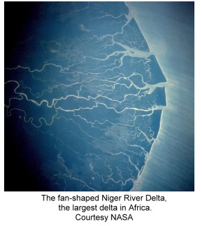 Delta del río Níger