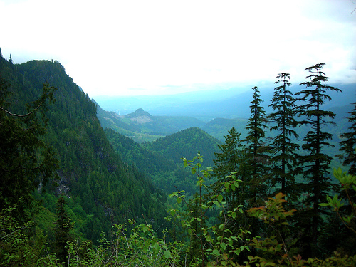 Vista de vertiente occidental de montañas Cascade Range.