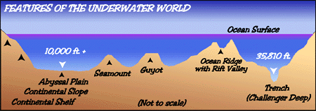 Image of the different features of the underwater world.