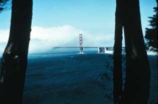 Fog obscures Golden Gate Bridge