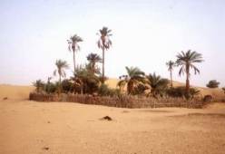 Oasis en Mauritania