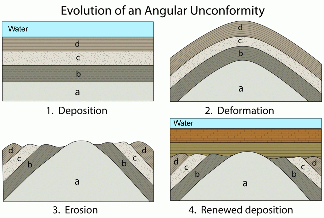 The four steps in this figure show the processes by which an angular unconformity forms.