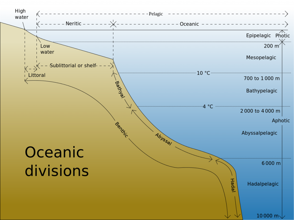 Oceanic_divisions-1024x767.png