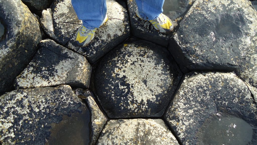 Columnar joints viewed from above. Source: Meg Stewart (2012) CC BY-SA 2.0