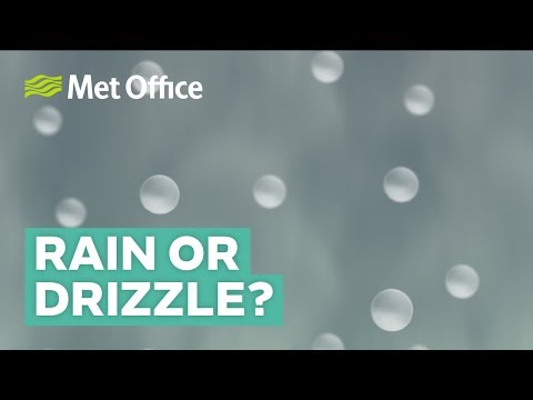 Thumbnail for the embedded element "What is the difference between rain and drizzle?"