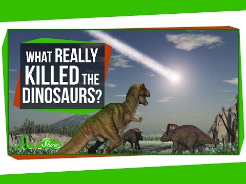 Thumbnail for the embedded element "What Really Killed the Dinosaurs?"