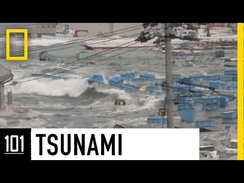 Thumbnail for the embedded element "Tsunamis 101 | National Geographic"