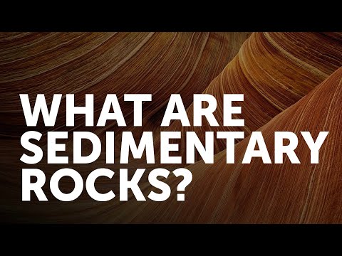 Thumbnail for the embedded element "What is a Sedimentary Rock?"