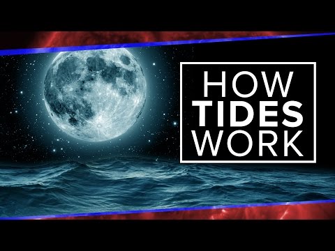 Thumbnail for the embedded element "What Physics Teachers Get Wrong About Tides! | Space Time | PBS Digital Studios"