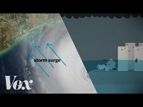 Thumbnail for the embedded element "Why a storm surge can be the deadliest part of a hurricane"