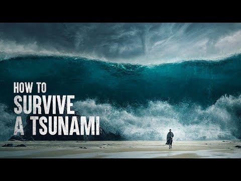 Thumbnail for the embedded element "How to Survive a Tsunami, According to Science"