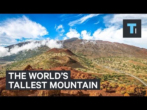 Thumbnail for the embedded element "The world’s tallest mountain isn't Mount Everest"
