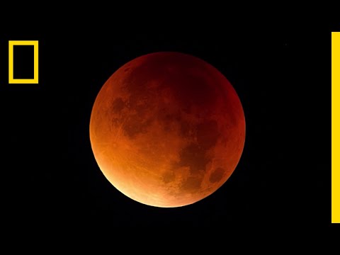 Thumbnail for the embedded element "Lunar Eclipse 101 | National Geographic"
