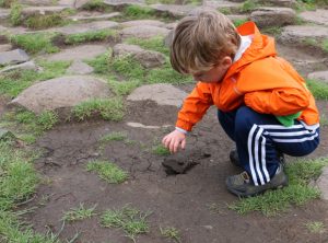 A child pokes its fingers into the soil.