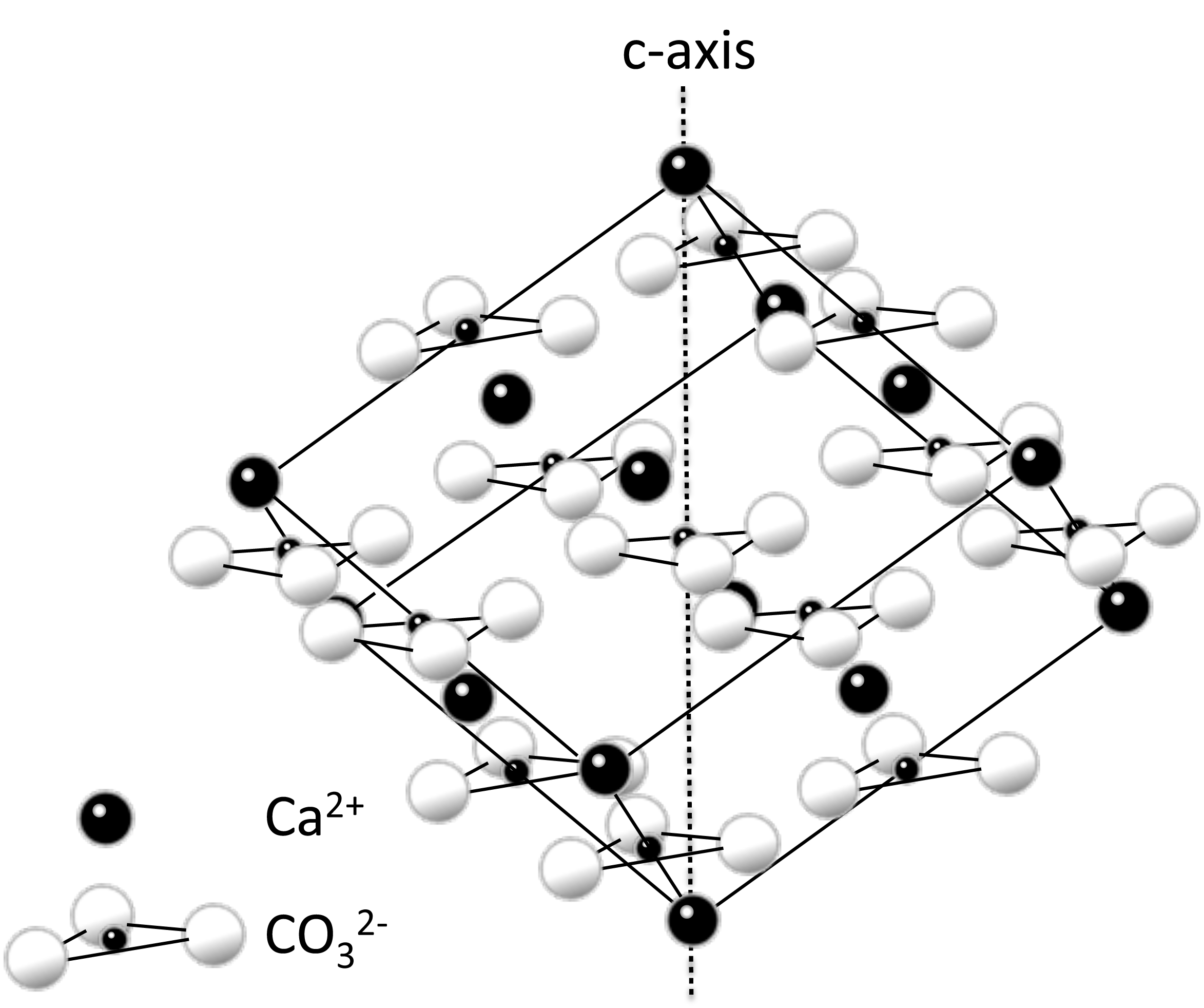 Caption: The unit cell of the mineral calcite. Rhombohedral calcite crystal structure by Temp4psu is licensed under CC BY Attribution-Share Alike 4.0 International license.