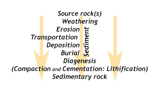 The steps in the Sedimentary Rock Cycle. By: Callan Bentley