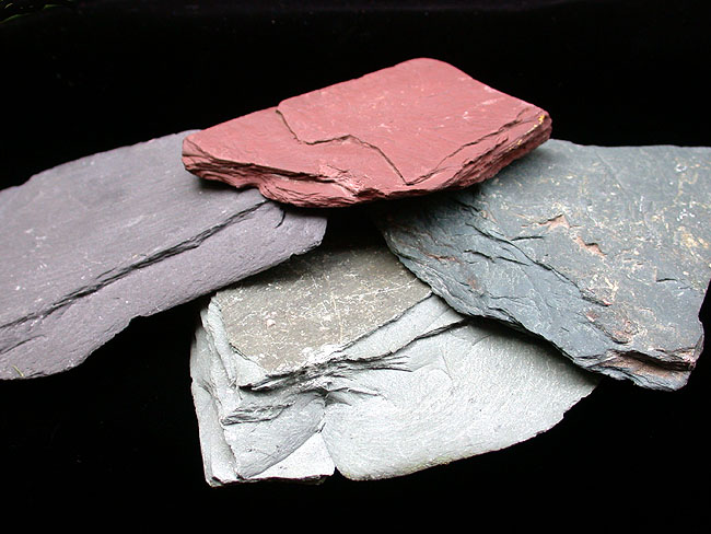Slate in many different colors, depending on the composition of the protolith. By C. E. Jones, 2003, from: Geologic Image Archive at the University of Pittsburgh  with permission for educational purposes.