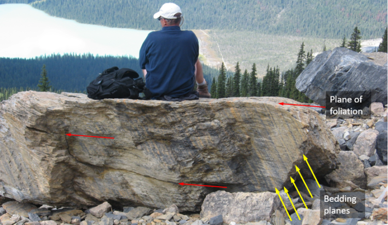 A slate boulder on the side of Mt. Wapta in the Rockies near Field, BC. Bedding is visible as light and dark bands sloping steeply to the right (yellow arrows). Slaty cleavage is evident from the way the rock has broken (along the flat surface that the person is sitting on) and also from lines of weakness that are parallel to that same trend (red arrows). CC BY: Steven Earle from: https://opentextbc.ca/physicalgeology2ed/chapter/7-2-classification-of-metamorphic-rocks/