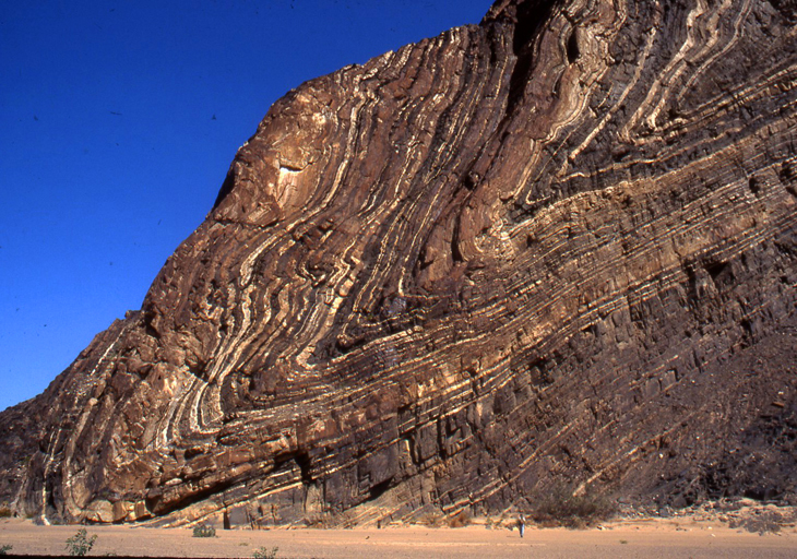 Photograph showing a cliffside outcrop in the desert. Rock layers dip moderately to the left, then make an abrupt turn, and head up again, with an even steeper dip: The upper limb of this synclinal fold is overturned.