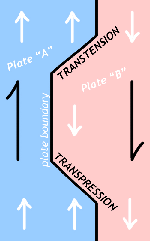 Cartoon "map view" image showing two plates with an irregular boundary. A zone where the plates are moving toward one another on an obliquely-oriented boundary is labeled "TRANSPRESSION." A zone where the plates are moving away from one another on an obliquely-oriented boundary is labeled "TRANSTENSION."