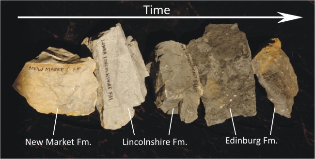 A photograph showing a sequence of 5 rock units, getting darker colored through time. The oldest on the left are a clean light gray. The youngest, on the right, are dark gray.