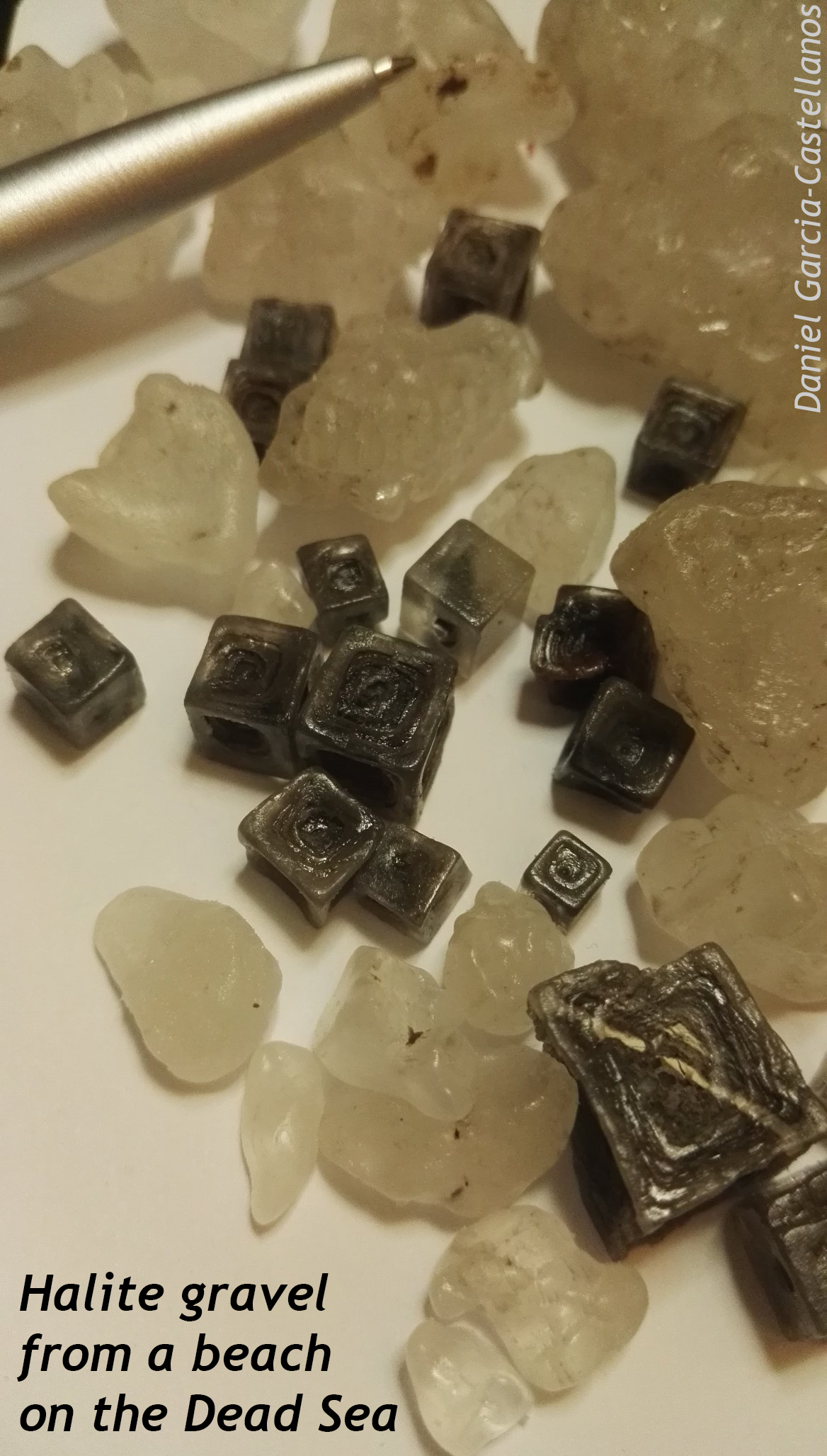 Photograph showing halite gravel from the Dead Sea: a mix of light colored blobby looking bits and very striking dark colored "hopper" cubes. A pen serves as a sense of scale.