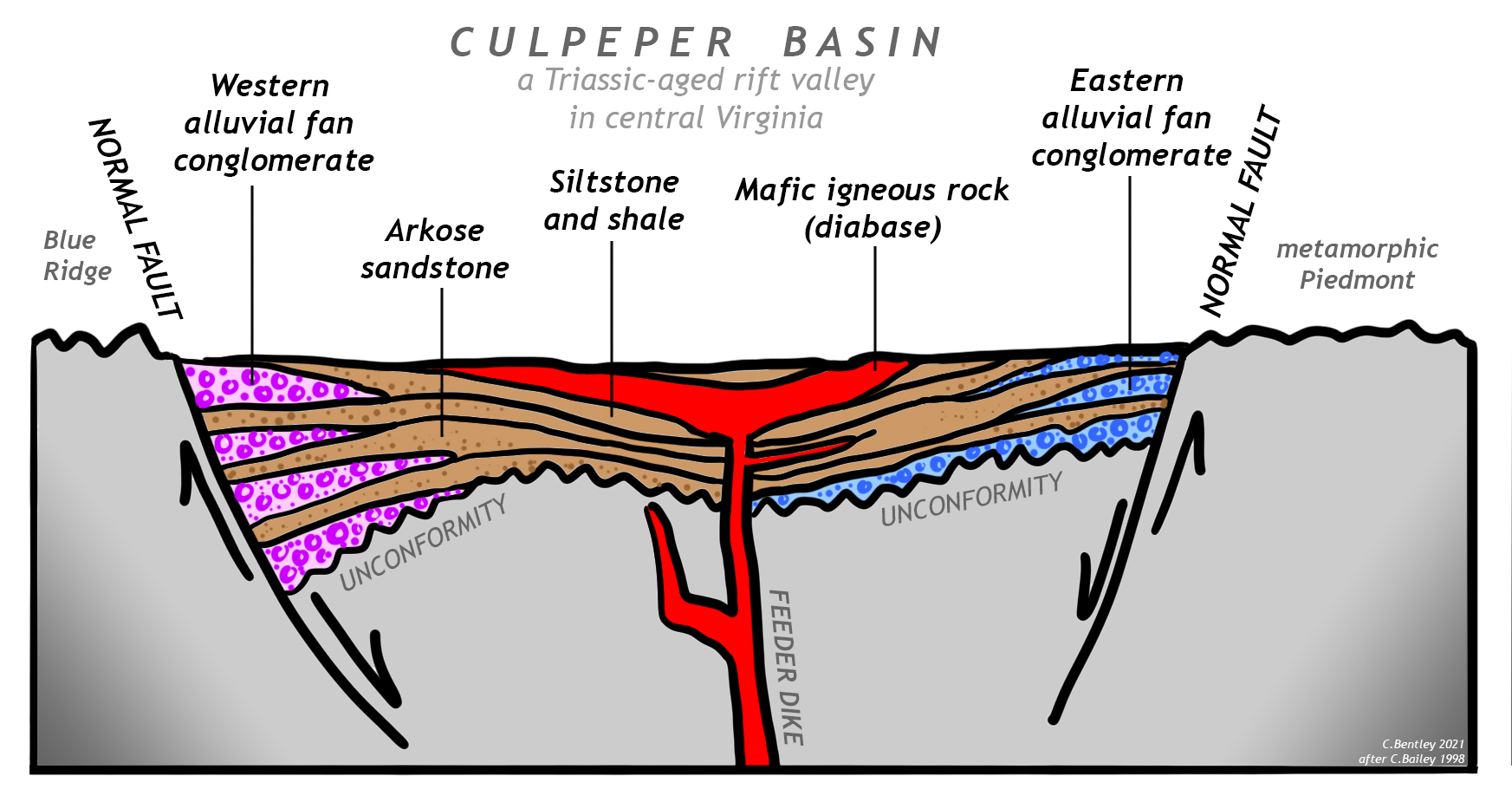 Cartoon cross-section of the Culpeper Basin, a Triassic-aged rift valley in central Virginia. The cross-section shows the valley flanked by two normal faults: it is a central down-dropped "graben." At the bottom of all the sedimentary rocks filling the rift basin is an unconformity. West of the western fault is the Blue Ridge. East of the eastern fault is the metamorphic Piedmont. The rift basin is coarsest at the edges, with wedge-shaped deposits of alluvial fan conglomerate reaching out into the basin. The composition of the eastern conglomerate is different from the composition of the western conglomerate. Arkose sandstone flanks the conglomerate, but in the middle of the basin is the finest sediment: shale and siltstone. Cutting through all of these clastic sediments is a prominent central mafic igneous intrusion. A feeder dike reaches up and intrudes sills parallel to sedimentary layering. It is labeled "Mafic igneous rock (diabase)")